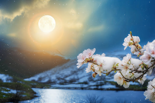 Embrace the Energy of Spring: Crafting Your Personal Wellness Plan