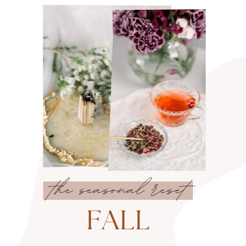 Fall Reset Program